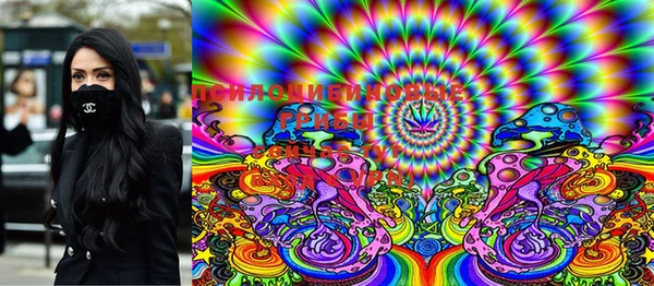 мяу мяу мука Верхнеуральск