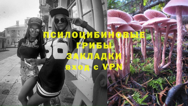 мяу мяу мука Верхнеуральск