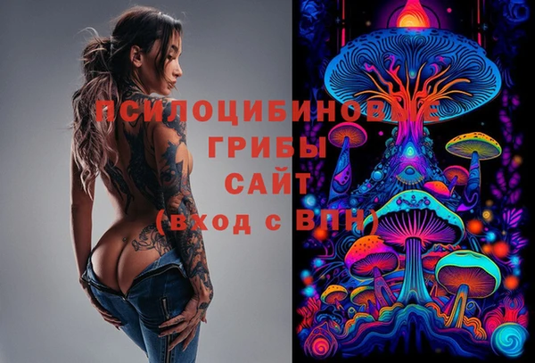 синтетический гашиш Верхний Тагил
